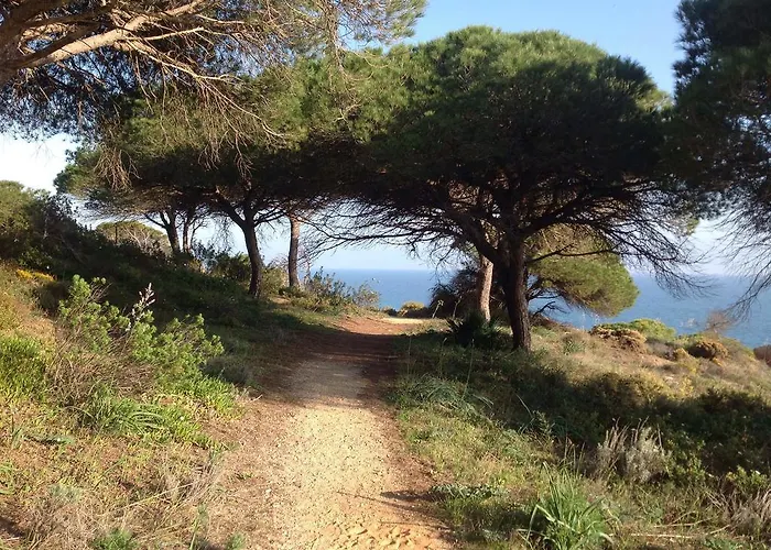 2 Bedroom Falesia 아파트