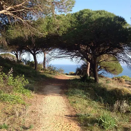 2 Bedroom Falesia Daire